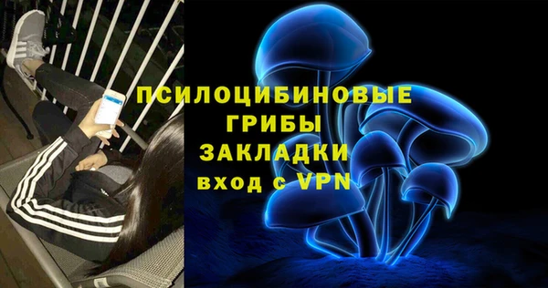 первитин Дмитриев