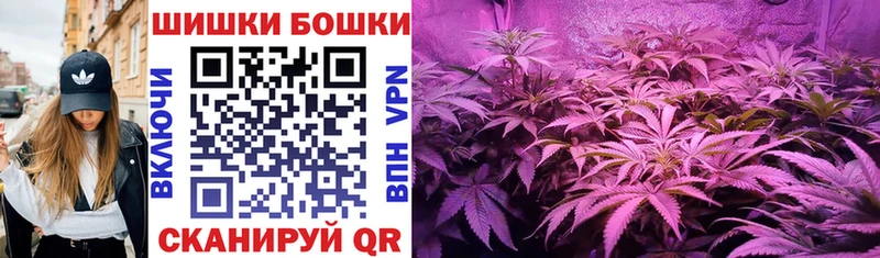 Купить закладки  Кашира  Бошки марихуана LSD WEED 